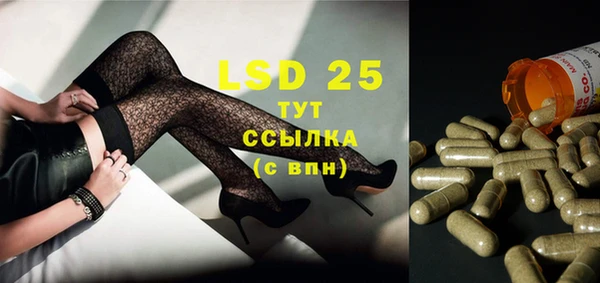 PSILOCYBIN Аркадак