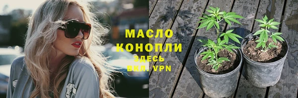 PSILOCYBIN Аркадак