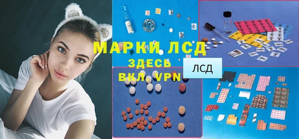 PSILOCYBIN Аркадак