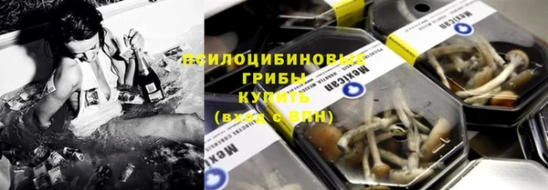 PSILOCYBIN Аркадак