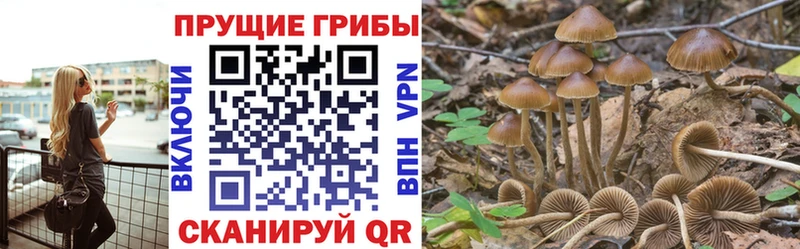цены наркотик  Реж  Галлюциногенные грибы GOLDEN TEACHER 